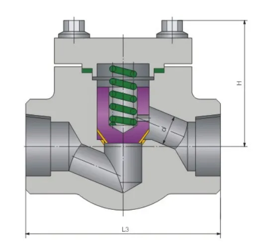Class 800 Forged Steel Piston Check Valve